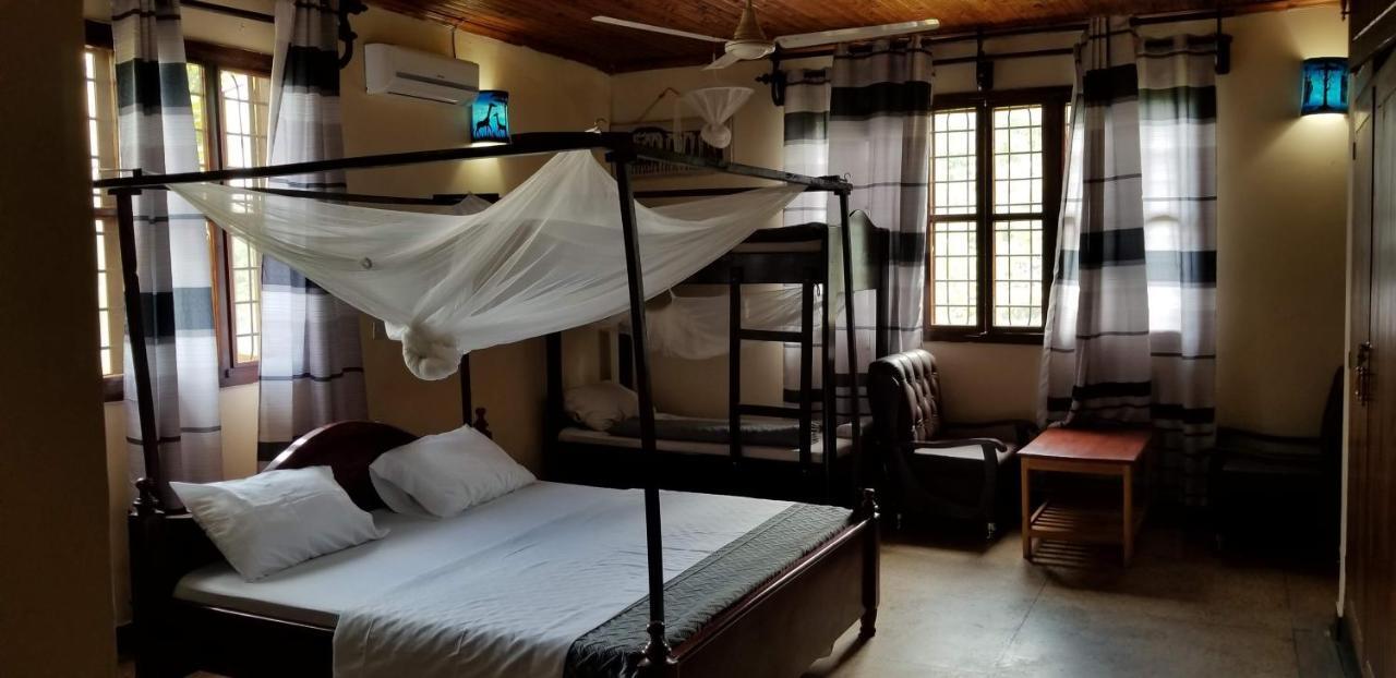 Aivlys Lodge Kilimanjaro Msaranga Dış mekan fotoğraf